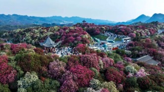 世界上最大的杜鵑花花海綻放，3月貴州的這座小城美炸了