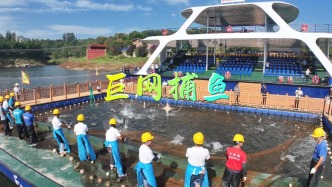 春游重慶長壽湖，觀看精彩的巨網(wǎng)捕魚，感受當(dāng)?shù)睾裰氐臐O獵文化