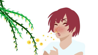 別讓花粉，偷走你的春日健康