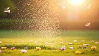 南京農(nóng)業(yè)大學(xué)團隊給草莓采摘機器人裝上仿生手