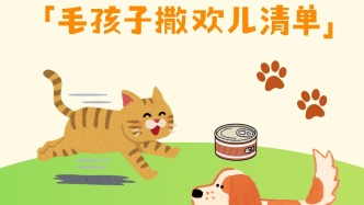 作為鏟屎官，這些地方我們能去N次