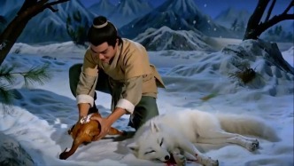 Sora關(guān)停！都怪“雪山救狐”？