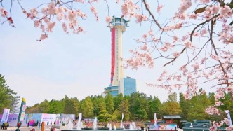 延吉雖無春假，卻有滿格春日快樂