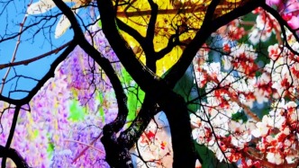 枯木亦能逢春，萬事皆可期待！接下來一起打開蘭大的春天！