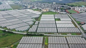 繪就鄉(xiāng)村全面振興新畫卷