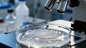 巨子生物告別“躺贏”，押注醫(yī)美能打翻身仗嗎？