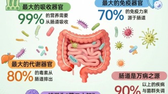 “腸”治才能久安——解決便秘一身輕松