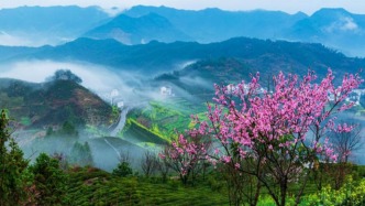 清明小长假去哪？来安徽宝藏小城歙县，4大茶村等你来寻香