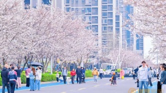 【南昌日志】春色满园