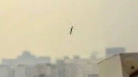 “今年蚊子史詩級加強”？疾控部門提醒