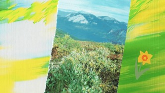 超5.7萬(wàn)輛已就位→“City Ride”Go Go Go！