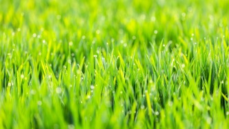 山東日照：以生態(tài)“含綠量”提升發(fā)展“含金量”