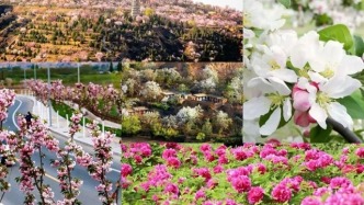 春色入畫　暢游白銀｜22條賞花踏青路線等你來打卡