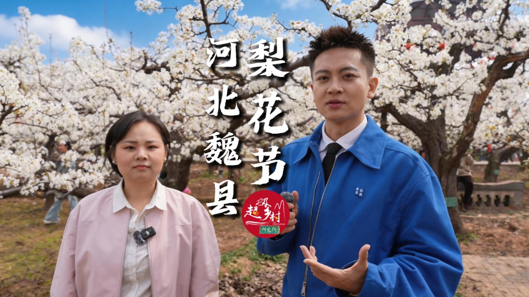 一年只10天可見的華北花海頂流，就在河北這座低調(diào)了千年的梨鄉(xiāng)水城