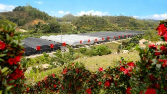 全國(guó)最大！肇慶這個(gè)度假基地可游玩、可賞花！