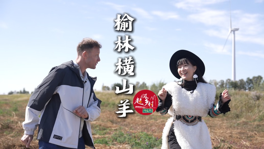 光伏板下长大的榆林横山羊，凭什么味美无膻绒还好？