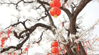 華北最震撼的春日花海，就藏在河北這座梨鄉(xiāng)水城，20萬畝梨花繞城盛開