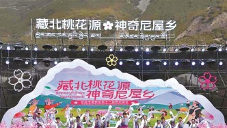 在“那”桃花盛開的地方——那曲市嘉黎縣第十一屆桃花盛會見聞