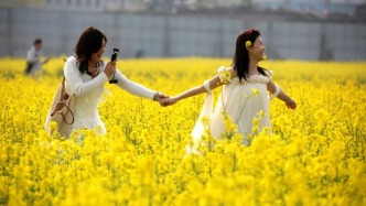 實(shí)拍！山東臨沂蘭山棗園這片金色花海，太熱鬧了！