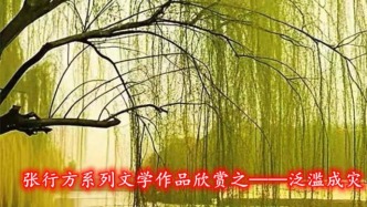 張行方系列文學作品欣賞之——夏雨洶涌