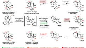 突破高氧化態(tài)倍半萜合成難題：蘭州大學(xué)團(tuán)隊(duì)實(shí)現(xiàn)四種神經(jīng)活性倍半萜的多樣性全合成
