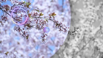 色彩是藏不住的生命力，用一抹亮色卡點，解鎖蘭大的整個春天！