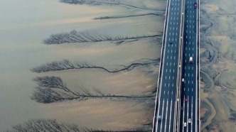 清明假期，杭州灣入?？诩谓B大橋下，大自然又一次驚艷亮相！潮水沖刷出大片潮汐樹(shù)，高空俯瞰