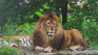 出游注意！這里營業(yè)時間調(diào)整?→