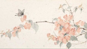 張維維｜一紙丹青·滿庭芳華