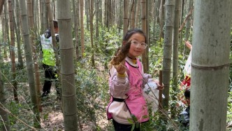 高淳研學(xué)游點(diǎn)亮首個春假文旅