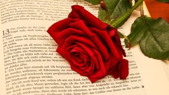 獲取利潤是否是投資短劇的合同目的？ 