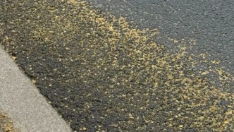 上海即將集中爆發(fā)！“易燃性”堪比汽油！這類人“天塌了”！每個(gè)區(qū)幾乎都有，可瞬間轟然一片