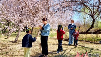 武威：清明假期春意浓　踏青赏景正当时