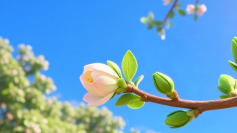 “把娃交給他，我們放心”——記愛琢磨“土辦法”、下“笨功夫”的鄉(xiāng)村教師郭千剛