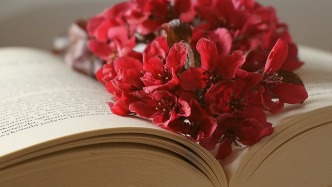 股東如何證明已履行出資義務(wù)？