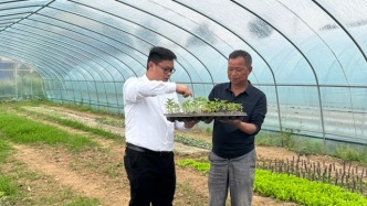 從軍營到田間 退伍老兵丁立云的“新農(nóng)人”之路