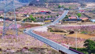 赏桃之夭夭 看汶水迢迢 这份寻味桃花源攻略请查收