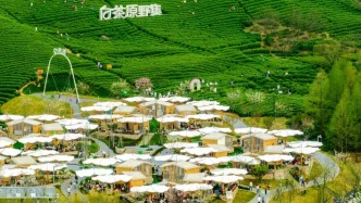 一扇窗，望見茶鄉(xiāng)新生活