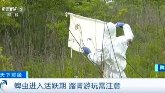 踏青游玩需注意！蜱蟲進入活躍期，被叮咬后這個動作不要做