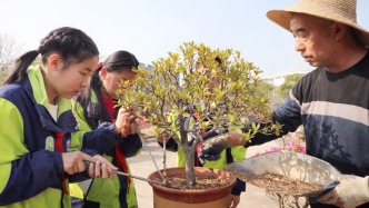 春光無限好 勞動正當時