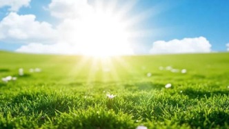 讓學生觸摸到你的愛