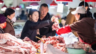 多部門出手效果初顯 豬周期拐點何時到來