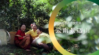 這里是景邁，有著近2000年茶葉種植歷史的古茶山