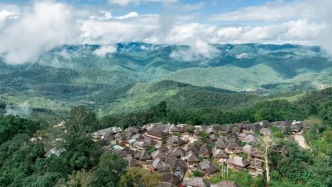 云南人偷偷藏了近2000年的古茶山火了，世居村民日子過得賽神仙