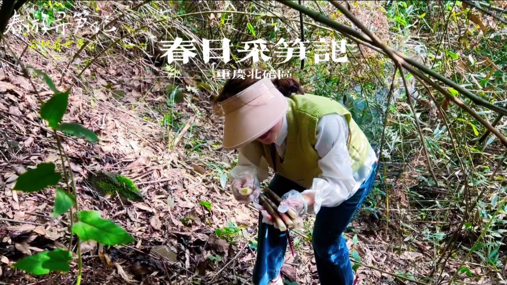 重慶春日尋筍記：鉆進竹林采春筍，脆嫩鮮香，滿是春天的味道