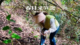 重慶春日尋筍記：鉆進竹林采春筍，脆嫩鮮香，滿是春天的味道