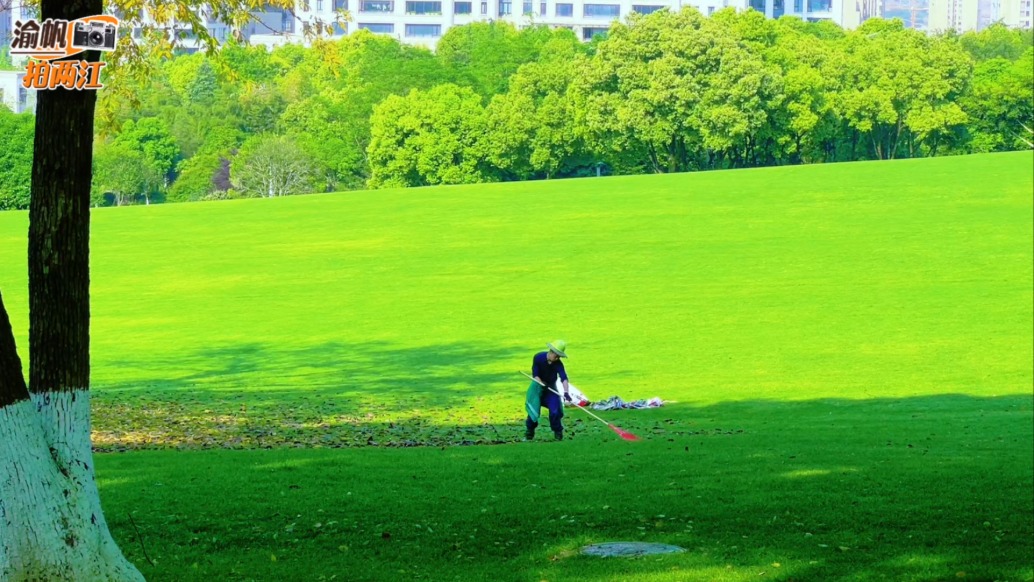 重慶中央公園：景美如畫，潔凈有序，離不開園丁們的辛勤付出