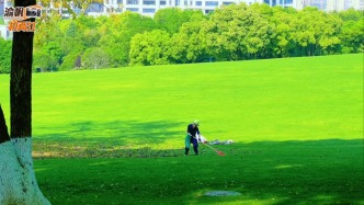 重慶中央公園：景美如畫，潔凈有序，離不開園丁們的辛勤付出