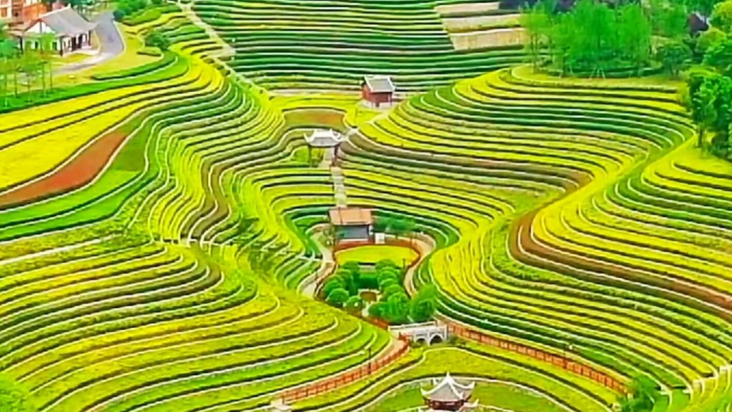 奢香古镇梯田，最美广西，奢香古镇欢迎您