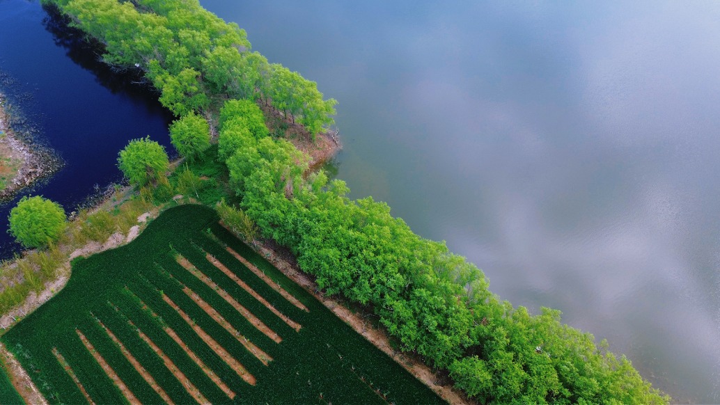 峄州印象 | 春和景明，龙泉水韵